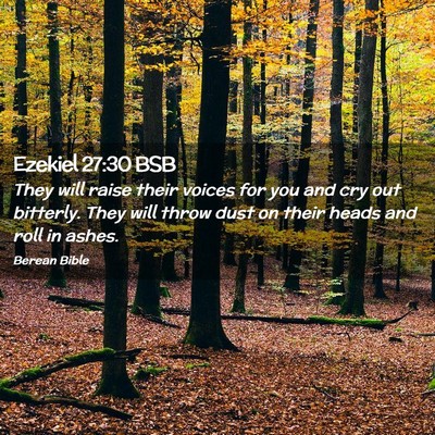 Picture 02 - Ezekiel 27:30 BSB - They will raise their voices for you and cry out - Bible Verse Picture