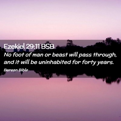 Picture 02 - Ezekiel 29:11 BSB - No foot of man or beast will pass through, and it - Bible Verse Picture