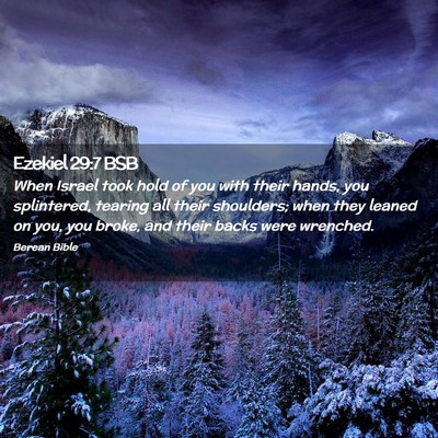 Picture 02 - Ezekiel 29:7 BSB - When Israel took hold of you with their hands, - Bible Verse Picture