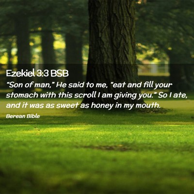 Picture 02 - Ezekiel 3:3 BSB - “Son of man,” He said to me, “eat and fill - Bible Verse Picture