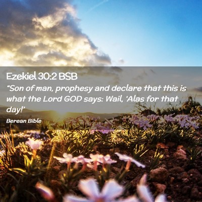 Picture 02 - Ezekiel 30:2 BSB - “Son of man, prophesy and declare that this is - Bible Verse Picture