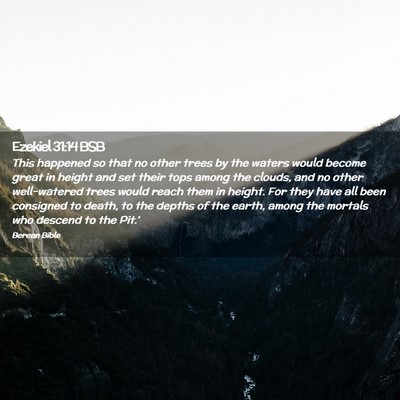 Picture 02 - Ezekiel 31:14 BSB - This happened so that no other trees by the - Bible Verse Picture