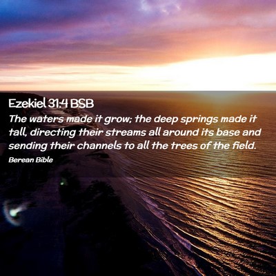 Picture 02 - Ezekiel 31:4 BSB - The waters made it grow; the deep springs made it - Bible Verse Picture