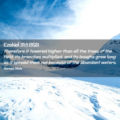 Picture 02 - Ezekiel 31:5 BSB - Therefore it towered higher than all the trees of - Bible Verse Picture