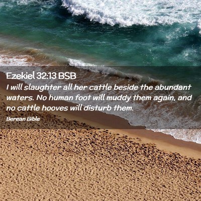 Picture 02 - Ezekiel 32:13 BSB - I will slaughter all her cattle beside the - Bible Verse Picture