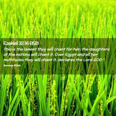 Picture 02 - Ezekiel 32:16 BSB - This is the lament they will chant for her; the - Bible Verse Picture