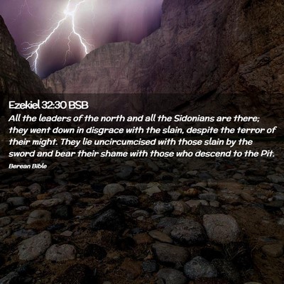 Picture 02 - Ezekiel 32:30 BSB - All the leaders of the north and all the - Bible Verse Picture