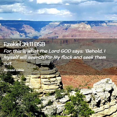 Picture 02 - Ezekiel 34:11 BSB - For this is what the Lord GOD says: ‘Behold, I - Bible Verse Picture