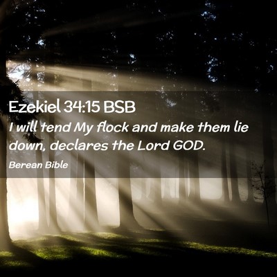 Picture 02 - Ezekiel 34:15 BSB - I will tend My flock and make them lie down, - Bible Verse Picture