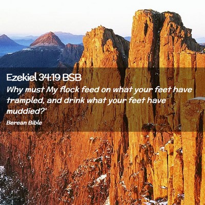 Picture 02 - Ezekiel 34:19 BSB - Why must My flock feed on what your feet have - Bible Verse Picture