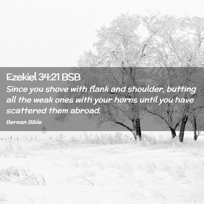 Picture 02 - Ezekiel 34:21 BSB - Since you shove with flank and shoulder, butting - Bible Verse Picture