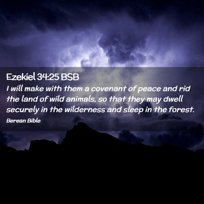 Picture 02 - Ezekiel 34:25 BSB - I will make with them a covenant of peace and rid - Bible Verse Picture