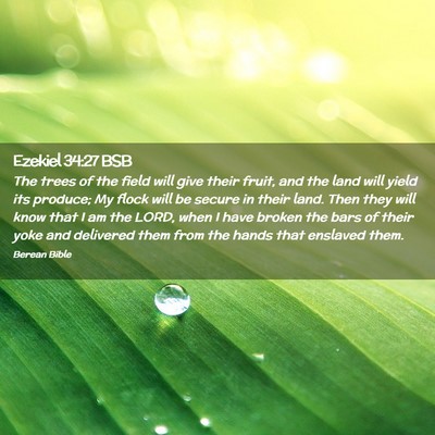 Picture 02 - Ezekiel 34:27 BSB - The trees of the field will give their fruit, and - Bible Verse Picture