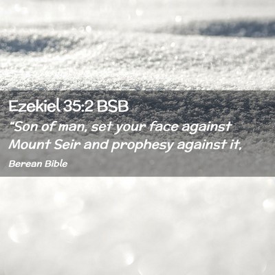 Picture 02 - Ezekiel 35:2 BSB - “Son of man, set your face against Mount Seir - Bible Verse Picture