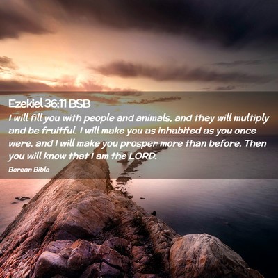 Picture 02 - Ezekiel 36:11 BSB - I will fill you with people and animals, and they - Bible Verse Picture