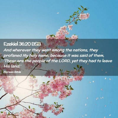 Picture 02 - Ezekiel 36:20 BSB - And wherever they went among the nations, they - Bible Verse Picture