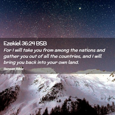 Picture 02 - Ezekiel 36:24 BSB - For I will take you from among the nations and - Bible Verse Picture