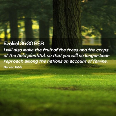 Picture 02 - Ezekiel 36:30 BSB - I will also make the fruit of the trees and the - Bible Verse Picture