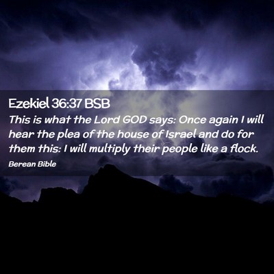 Picture 02 - Ezekiel 36:37 BSB - This is what the Lord GOD says: Once again I will - Bible Verse Picture