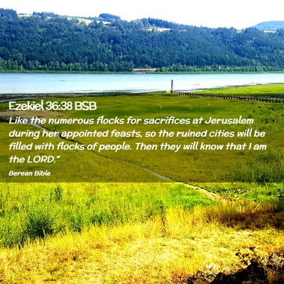 Picture 02 - Ezekiel 36:38 BSB - Like the numerous flocks for sacrifices at - Bible Verse Picture