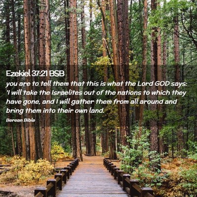 Picture 02 - Ezekiel 37:21 BSB - you are to tell them that this is what the Lord - Bible Verse Picture