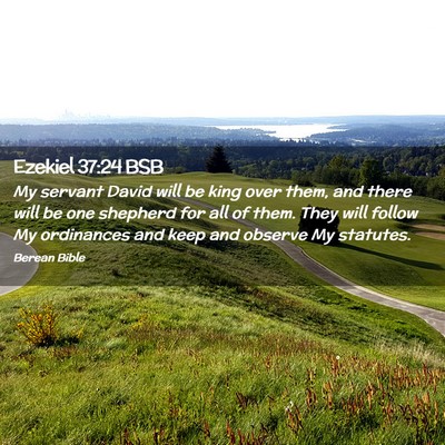 Picture 02 - Ezekiel 37:24 BSB - My servant David will be king over them, and - Bible Verse Picture