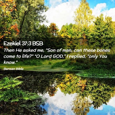 Picture 02 - Ezekiel 37:3 BSB - Then He asked me, “Son of man, can these bones - Bible Verse Picture