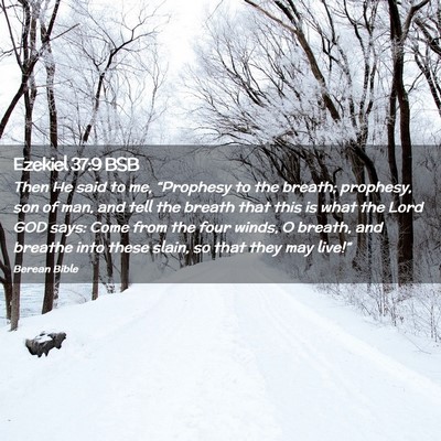 Picture 02 - Ezekiel 37:9 BSB - Then He said to me, “Prophesy to the breath; - Bible Verse Picture