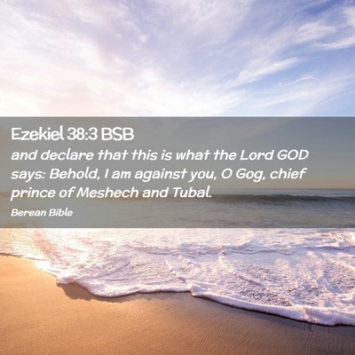 Picture 02 - Ezekiel 38:3 BSB - and declare that this is what the Lord GOD says: - Bible Verse Picture