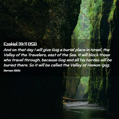 Picture 02 - Ezekiel 39:11 BSB - And on that day I will give Gog a burial place in - Bible Verse Picture
