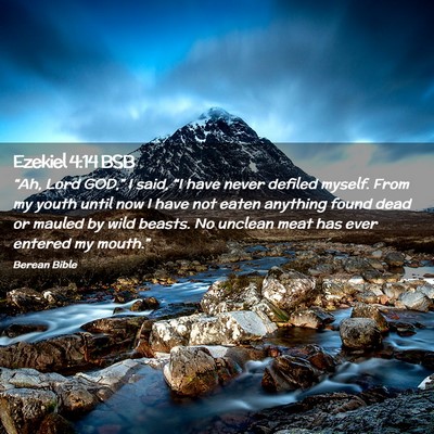 Picture 02 - Ezekiel 4:14 BSB - “Ah, Lord GOD,” I said, “I have never - Bible Verse Picture