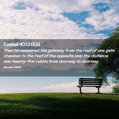 Picture 02 - Ezekiel 40:13 BSB - Then he measured the gateway from the roof of one - Bible Verse Picture