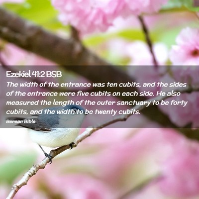 Picture 02 - Ezekiel 41:2 BSB - The width of the entrance was ten cubits, and the - Bible Verse Picture