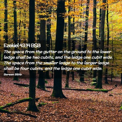 Picture 02 - Ezekiel 43:14 BSB - The space from the gutter on the ground to the - Bible Verse Picture