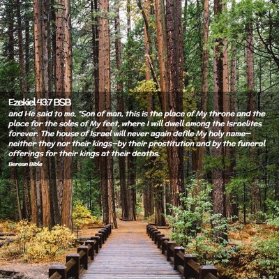 Picture 02 - Ezekiel 43:7 BSB - and He said to me, “Son of man, this is the - Bible Verse Picture