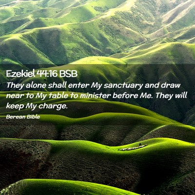 Picture 02 - Ezekiel 44:16 BSB - They alone shall enter My sanctuary and draw near - Bible Verse Picture