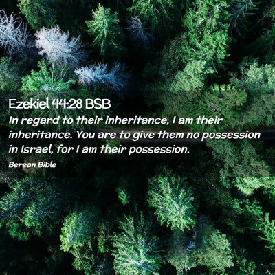 Picture 02 - Ezekiel 44:28 BSB - In regard to their inheritance, I am their - Bible Verse Picture