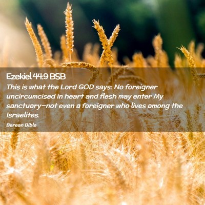 Picture 02 - Ezekiel 44:9 BSB - This is what the Lord GOD says: No foreigner - Bible Verse Picture