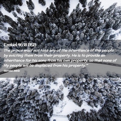 Picture 02 - Ezekiel 46:18 BSB - The prince must not take any of the inheritance - Bible Verse Picture