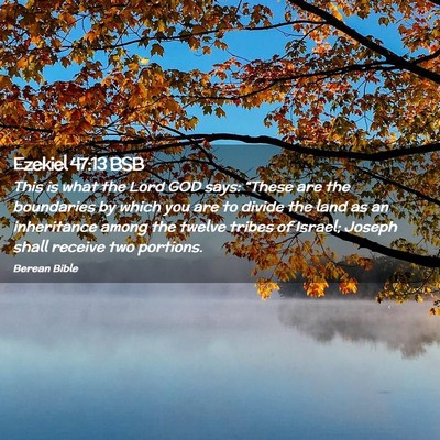 Picture 02 - Ezekiel 47:13 BSB - This is what the Lord GOD says: “These are the - Bible Verse Picture