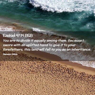 Picture 02 - Ezekiel 47:14 BSB - You are to divide it equally among them. Because - Bible Verse Picture