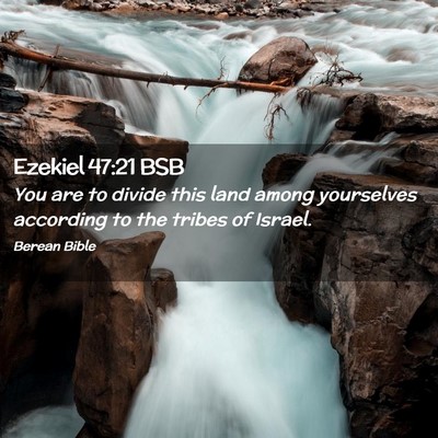 Picture 02 - Ezekiel 47:21 BSB - You are to divide this land among yourselves - Bible Verse Picture