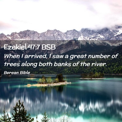 Picture 02 - Ezekiel 47:7 BSB - When I arrived, I saw a great number of trees - Bible Verse Picture