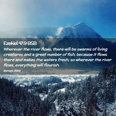 Picture 02 - Ezekiel 47:9 BSB - Wherever the river flows, there will be swarms of - Bible Verse Picture