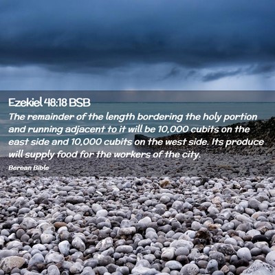 Picture 02 - Ezekiel 48:18 BSB - The remainder of the length bordering the holy - Bible Verse Picture