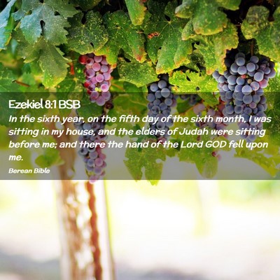 Picture 02 - Ezekiel 8:1 BSB - In the sixth year, on the fifth day of the sixth - Bible Verse Picture