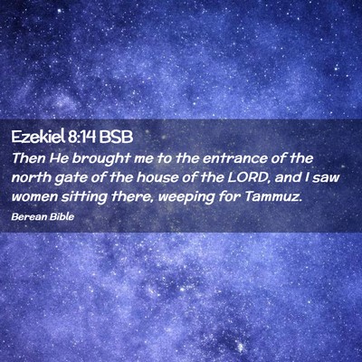 Picture 02 - Ezekiel 8:14 BSB - Then He brought me to the entrance of the north - Bible Verse Picture