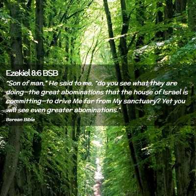 Picture 02 - Ezekiel 8:6 BSB - “Son of man,” He said to me, “do you see - Bible Verse Picture