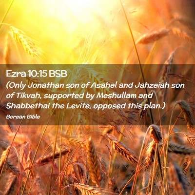 Picture 02 - Ezra 10:15 BSB - (Only Jonathan son of Asahel and Jahzeiah son of - Bible Verse Picture