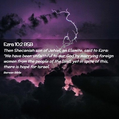 Picture 02 - Ezra 10:2 BSB - Then Shecaniah son of Jehiel, an Elamite, said to - Bible Verse Picture